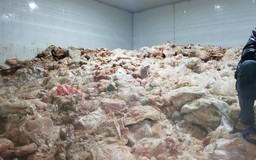Tiêu hủy kho hàng 'khủng' chứa 15 tấn phế phẩm động vật hôi thối