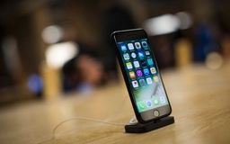Apple làm mới iPhone 7 và 8 để được bán tại Đức