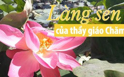 Chỉ với 10 triệu, thầy giáo người Chăm xây cả khu du lịch làng sen