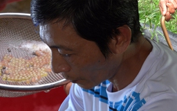 Anh nông dân miền Tây thoát nghèo nhờ tự chế máy ấp trứng lươn đồng