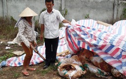 'Phong tỏa' hiện trường vụ chôn lấp chất thải chứa trong 'bao bì Formosa'
