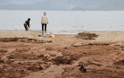 Bùn đất đỏ từ dự án 'bạt núi' Sơn Trà đổ xuống biển Tiên Sa