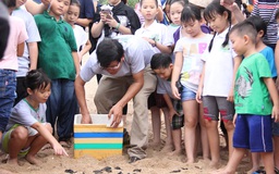 Trẻ em thành phố tập cứu hộ rùa biển