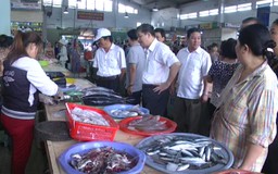 Đà Nẵng mở các điểm bán cá sạch giải cứu ngành hải sản
