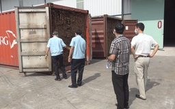 Cận cảnh lô gỗ quý trị giá hơn 20 tỉ đồng nhập lậu về cảng Cát Lái