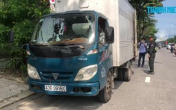 Bắt xe tải chở cá thối ở Đà Nẵng