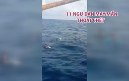 11 ngư dân may mắn thoát chết sau hơn 12 giờ lênh đênh trên biển