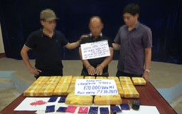 Vận chuyển 120.000 viên ma túy tổng hợp từ Lào về Việt Nam