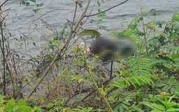 Phát hiện xác chết nam giới đeo thẻ sinh viên dưới hồ đá làng Đại học Quốc gia TP.HCM