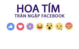 Facebook thêm biểu tượng hoa màu tím biểu lộ cả xúc biết ơn