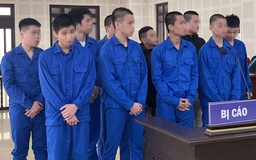 Việt Nam sẽ có đạo luật chuyên biệt về tư pháp cho người chưa thành niên