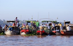 Thương hồ sông Cái Bè, Tiền Giang