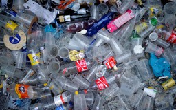 EU muốn loại bỏ sản phẩm nhựa dùng một lần