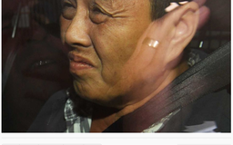 Người gốc Việt nghi gài kim vào dâu tây ở Úc có thể bị tù đến 10 năm
