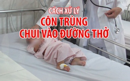 Cách xử lý khi trẻ bị côn trùng, dị vật chui vào đường thở