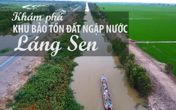 Khám phá khu bảo tồn đất ngập nước Láng Sen