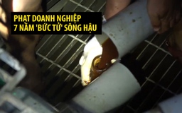 Phạt doanh nghiệp 7 năm 'bức tử' sông Hậu gần 900 triệu đồng