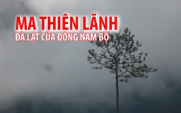 Kỳ thú Ma Thiên Lãnh - Đà Lạt của Đông Nam Bộ