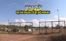 “Khai tử” dự án bột giấy và giấy ngàn tỉ