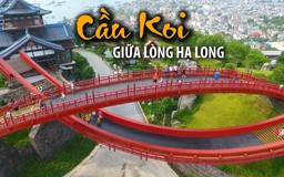 Đổ xô đến cây cầu Koi ở Hạ Long để sống ảo