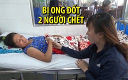 Một gia đình bị ong vò vẽ đốt, 5 người thương vong