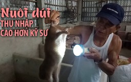 Bỏ việc siêu thị về nuôi dúi, ông già thu nhập cao hơn kỹ sư