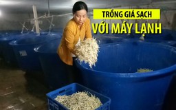 Quyết theo nghề của mẹ, bà chủ trẻ thu tiền triệu mỗi ngày