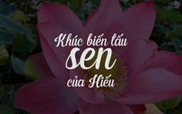 Bà chủ trẻ tìm niềm vui bên những đóa sen sau những đổ vỡ