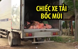 Chặn 1,4 tấn mỡ, da động vật bốc mùi hôi thối