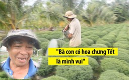 Người trồng hoa ở Trà Vinh gặp khó khăn vì thời tiết thất thường