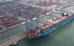 Cận cảnh siêu tàu container cực khủng dài hơn tháp Eiffel vừa cập bến Việt Nam