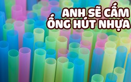 Để bảo vệ biển, Anh sẽ cấm ống hút nhựa