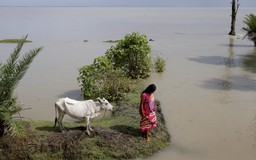 Nước biển dâng 'liếm' mất dần một hòn đảo Ấn Độ
