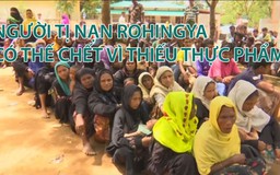 Người tị nạn Rohingya có thể chết vì thiếu thực phẩm