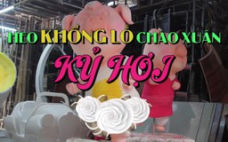 Heo khổng lồ chào xuân Kỷ Hợi