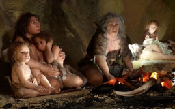 Quan hệ tình dục với loài người góp phần khiến người Neanderthal tuyệt chủng?