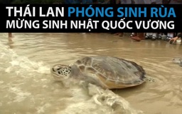 Thái Lan phóng sinh rùa mừng sinh nhật quốc vương