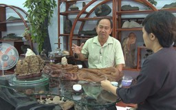 Người đàn ông sở hữu bộ sưu tập đá cảnh lớn nhất Sài Gòn