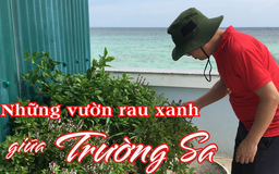 Những vườn rau xanh giữa Trường Sa