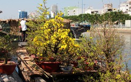 Những chiếc thuyền chở hoa về Sài thành