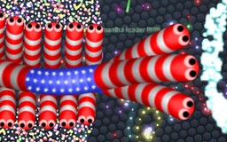 Video: Rắn 3 đầu Slither.io - Màn Cuộn tròn kinh điển nhất