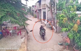 Cận cảnh kẻ trộm chó dọa bắn, đòi ‘xử’ người truy đuổi Cận cảnh kẻ trộm chó dọa bắn, đòi ‘xử’ người truy đuổi