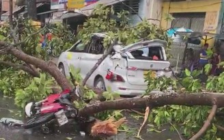 Khoảnh khắc hoảng loạn tháo chạy vì gãy nhánh cây lớn trên đường phố TP.HCM