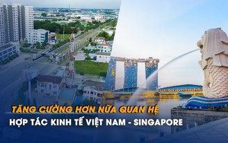 Tăng cường hơn nữa quan hệ hợp tác kinh tế Việt Nam - Singapore