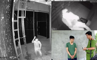Hai thợ hồ xây nhà yến rồi đi trộm tổ chim yến