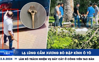 Xem nhanh 12h: Lạ lùng cầm xương bò đập kính ô tô | Làm rõ trách nhiệm vụ gãy cây ở công viên Tao Đàn