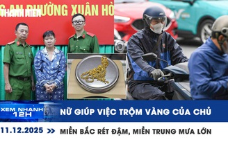 Xem nhanh 12h: Nữ giúp việc trộm vàng của chủ | Miền Bắc rét đậm, miền Trung mưa lớn diện rộng