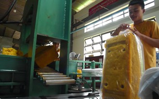 Tập đoàn Công nghiệp Cao su Việt Nam: Vững vàng hội nhập, dẫn đầu phát triển bền vững