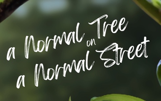 'A normal tree on a normal street' | Cuộc thi phim ngắn Vietnamese 2025
