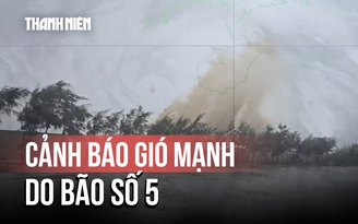 Bão số 5: Cảnh báo gió mạnh khi bão đổ bộ đất liền vào chiều 25.8